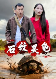 《石纹灵龟》(30集)精彩短剧全集免费追