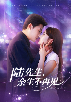 《陆先生，余生不再见》（88集）短剧在线畅享不停歇