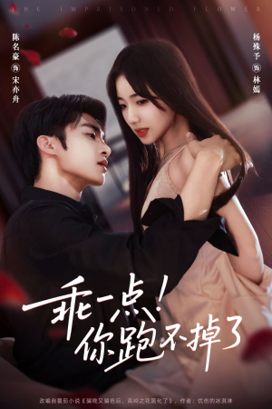 《乖一点!你跑不掉了》(80集)短剧全集畅享在线追